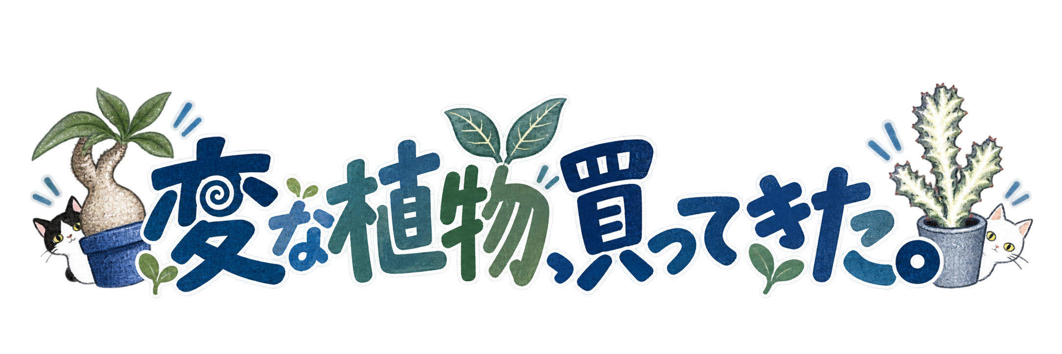 変な植物、買ってきた。